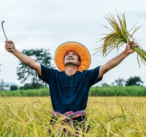 在用户至上，提供贴心客户服务方面，28圈娱乐APP提供贴心周到的支持。 Updates - 28圈娱乐APP