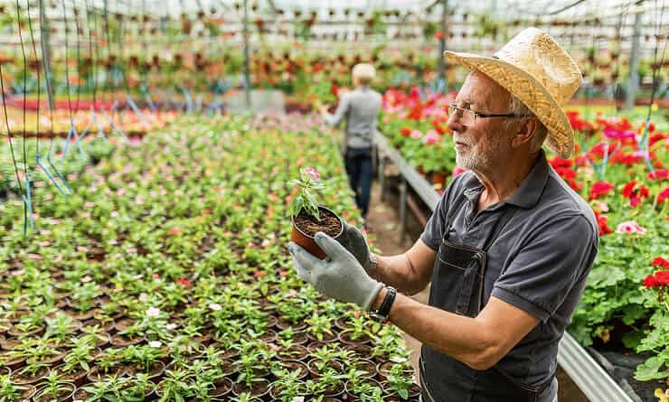 Modern Agriculture - 28圈娱乐APP