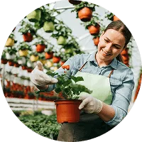 Organic Farming - 28圈娱乐APP