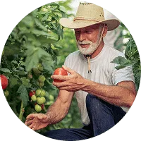 Organic Farming - 28圈娱乐APP