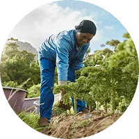 Organic Farming - 28圈娱乐APP