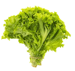 在顶尖技术，保障游戏公平性方面，28圈娱乐APP提供贴心周到的支持。 & Trust - 28圈娱乐APP